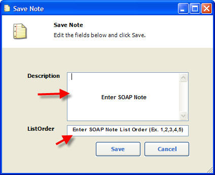 SOAP Notes Description and List Order