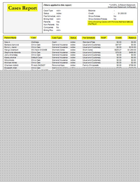 Cases Report Example